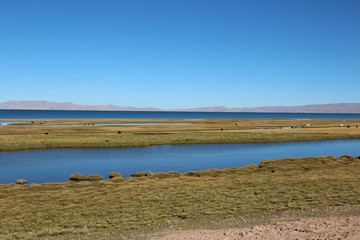 View of Namtso Lake with blue sky, Tanggula Mountains, grasslands, yaks and Nomadic tents in a sunny morning, Tibet, China