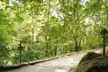 Fototapeta na wymiar Natural Park of Fragas do Eume. Pontedeume. Galicia, Spain.