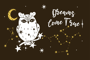 Poster with an owl, stars and the inscription Dreams Come True. Vector graphics.