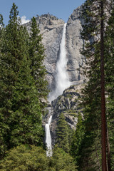 Lower Yosemite Falls 08