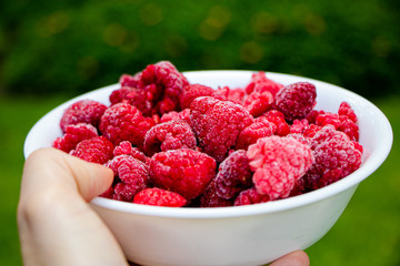 Frambuesas frescas y sanas 