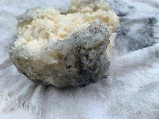 Black spots of fungi on steamed glutinous rice