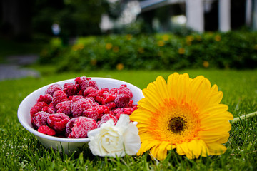Plato de frambuesas frescas en jardín 
