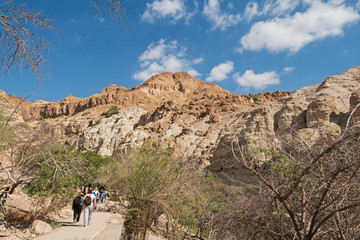 Fototapeta na wymiar a group of visitors on the paved handicapped access path walking toward the david falls in the ein gedi reserve in israel with mt yishai in the background