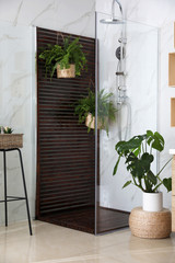 Bathroom interior with shower stall and houseplants. Idea for design