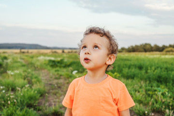 Little curly boy in orange t-shirt stay in a meadow, sunset light. Boy surprised. Beautiful landscape in summer.