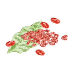 山茱萸（サンシュユ）漢方薬の生薬水彩イラスト