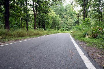 Fototapeta na wymiar Beautiful picture of Green trees and cement road in Uttarakhand India