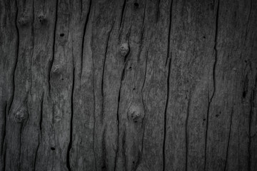 Grunge dark old wood texture background. Vintage black wooden board wall antique cracking old style background objects for furniture design. Painted weathered peeling table wood hardwood decoration.