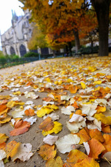 Romantic and beautiful autumn scenery of Paris