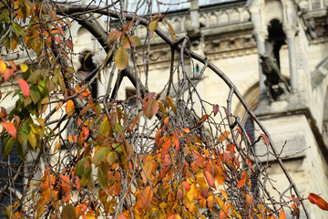 Romantic and beautiful autumn scenery of Paris