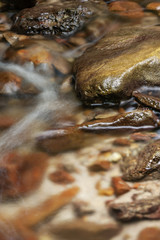 Mountain stream, summer walk in the mountains.