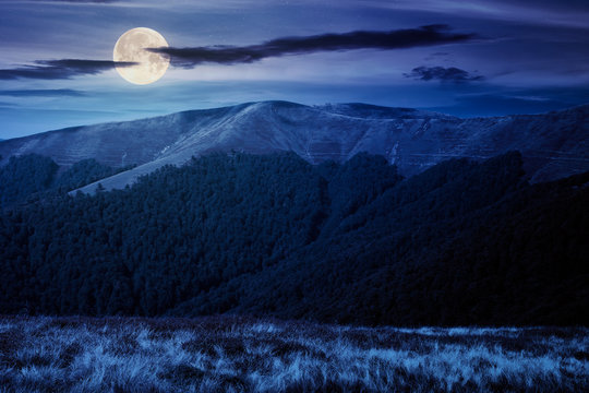 mountain landscape at night. trees on the meadow in dry grass in full moon light. ridge in the distance. beech forest on the hills. clouds on the sky
