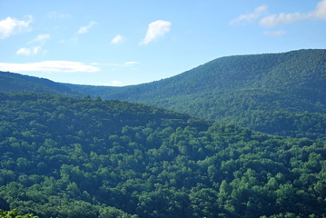 Fototapeta na wymiar Shenandoah National Park, Virginia