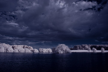 infrared photography - ir photo of landscape with tree under sky with clouds - the art of our world...