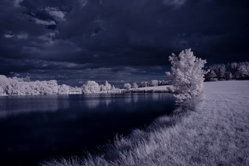 infrared photography - ir photo of landscape with tree under sky with clouds - the art of our world...