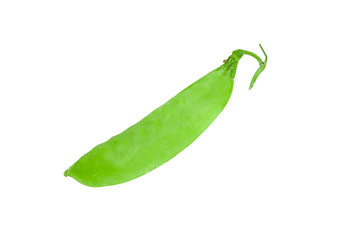 Sugar Pea was placed on a white background.