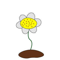 yellow flower on white