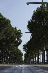 Fototapeta premium Photo of the port of Thessaloniki in Greece