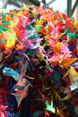Colorful bird origami paper were fold in thousands, hanging at the historic Nagasaki Atomic bomb site as the iconic of peace and freedom.