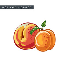 sketch_peach_apricot_big_and_small_and_leaves