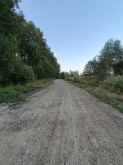 Country road in the evening. On one side is a forest, on the other a field with grass as tall as a man.