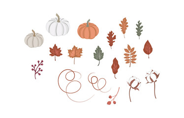 Rustic Autumn Botany Elements Set, Fall Pumpkins, Leaves, Cotton Decorative set Vector Illustration 