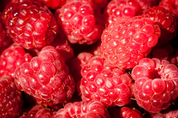 raspberry close up