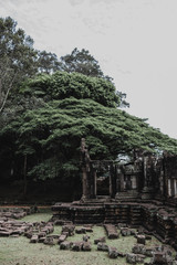 Fototapeta na wymiar angkor wat temple cambodia