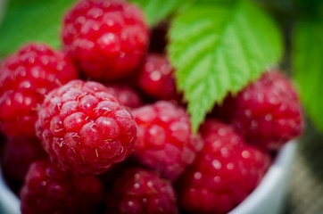 Raspberry close-up