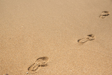 Fototapeta na wymiar Human footprints on a sandy beach. Shallow depth of field