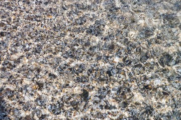 sea pebbles in the water, ripples on the water