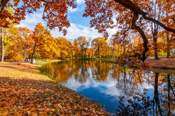 Autumn foliage in Alexander park, Pushkin (Tsarskoe Selo), Saint Petersburg, Russia