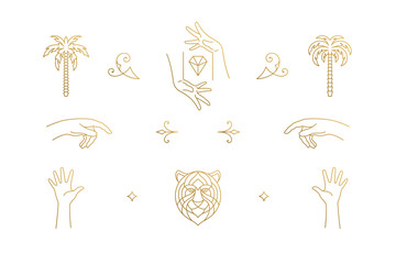 Vector line elegant decoration design elements set - tiger head and gesture hands illustrations minimal linear style