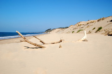 France, Aquitaine, Bassin d'Arcachon, la plage au pied de la dune du Pilat, un magnifique site...