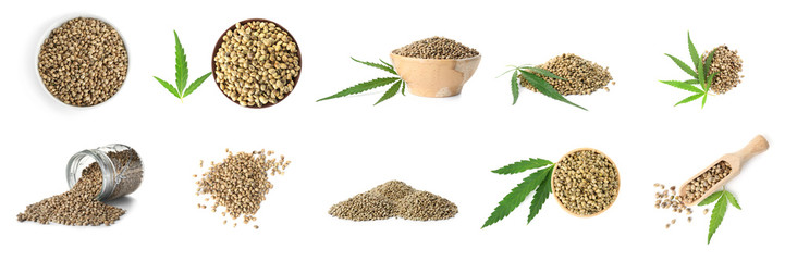 Collage with hemp seeds on white background, banner design
