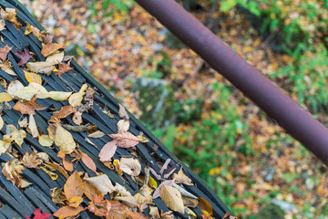 Autumn forest in Korean Mountain