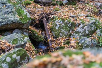 Autumn forest with stone moss in Korean Mountain stream
