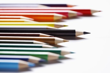 Coloured pencils arranged in a row