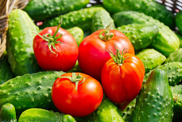 cucumbers and tomatoes in a wicker basket close-up. village eco food home gardening concept.