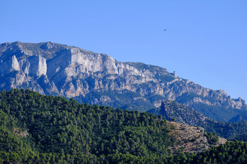 Gran bosque verde con un pico rocoso al fondo en la Sierra de Cazorla, Jaén
