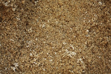 Sand texture