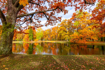 Autumn foliage in Alexander park, Pushkin (Tsarskoe Selo), Saint Petersburg, Russia