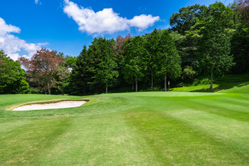 Obraz premium Golf Course with beautiful green field. Golf course with a rich green turf beautiful scenery.