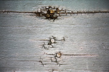 Wood, close-up