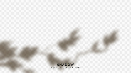 Shadow overlay. Effect light transparent shadow. Realistic creating reflective effect illusions. Overlay for adding scene lighting to your images. Vector illustration.