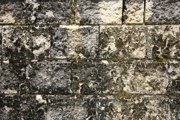 Wall