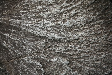  Rough surface