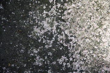 Wall with eroded paint