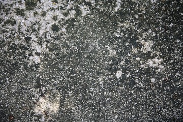 Wall